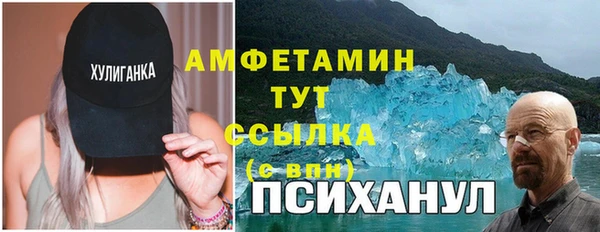 ПСИЛОЦИБИНОВЫЕ ГРИБЫ Белокуриха