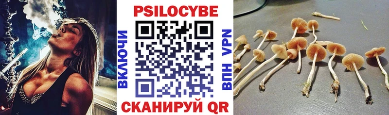 OMG маркетплейс  Майкоп  Галлюциногенные грибы Magic Shrooms  как найти закладки 